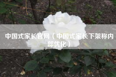 中国式家长官网（中国式家长下架称内部优化）