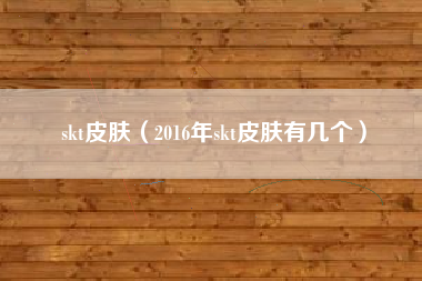skt皮肤（2016年skt皮肤有几个）