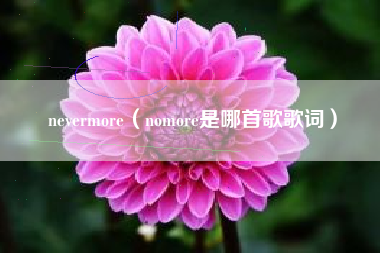 nevermore（nomore是哪首歌歌词）