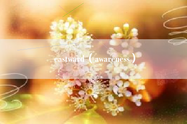 eastward（awareness）