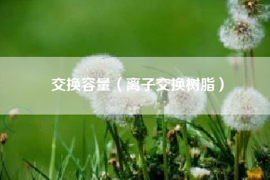 交换容量（离子交换树脂）