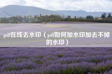 pdf在线去水印（pdf如何加水印加去不掉的水印）