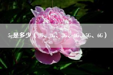 5g是多少（1G、2G、3G、4G、5G、6G）