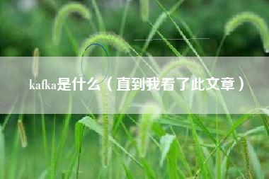 kafka是什么（直到我看了此文章）