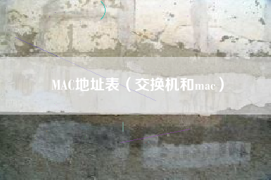 MAC地址表（交换机和mac）