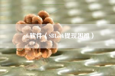 pfc软件（SBLock提现困难）