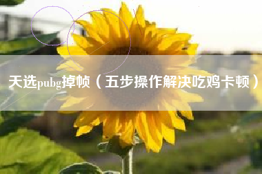 天选pubg掉帧（五步操作解决吃鸡卡顿）