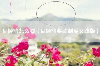 lol经验怎么看（lol经验奖励制度又改版）