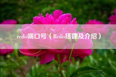 redis端口号（Redis搭建及介绍）