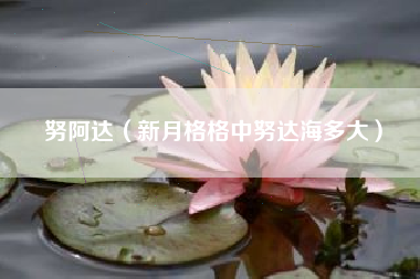 努阿达（新月格格中努达海多大）