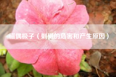 磁偶极子（剩磁的危害和产生原因）