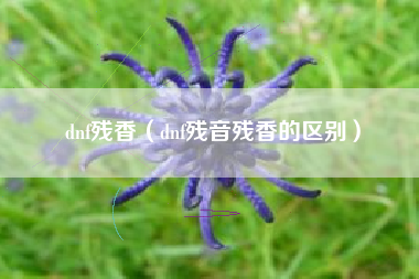 dnf残香（dnf残音残香的区别）