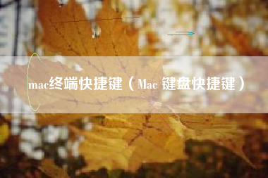 mac终端快捷键（Mac 键盘快捷键）