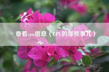 查看cpu信息（CPU的那些事儿）