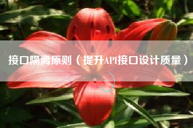 接口隔离原则（提升API接口设计质量）