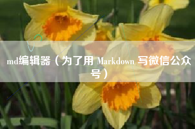md编辑器（为了用 Markdown 写微信公众号）