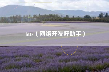 htts（网络开发好助手）