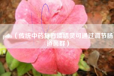 pcoa（传统中药复方溃结灵可通过调节肠道菌群）