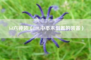 lol六神装（LOL中本末倒置的装备）