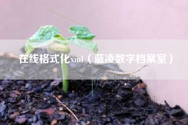在线格式化xml（蓝凌数字档案室）