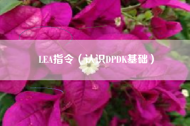 LEA指令（认识DPDK基础）