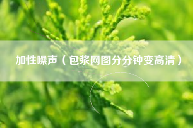 加性噪声（包浆网图分分钟变高清）