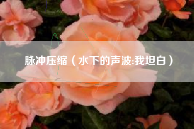 脉冲压缩（水下的声波:我坦白）