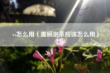 vs怎么用（盖碗泡茶应该怎么用）
