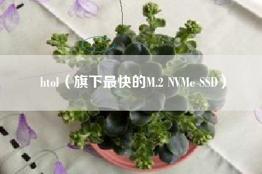 htol（旗下最快的M.2 NVMe SSD）