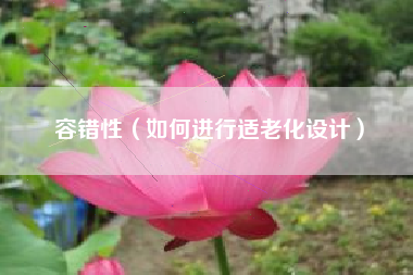 容错性（如何进行适老化设计）