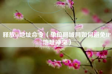 释放ip地址命令（单位局域网如何避免IP地址冲突）