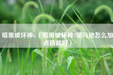暗黑破坏神ii（暗黑破坏神2亚马逊怎么加点技能好）