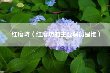 红磨坊（红磨坊的主要演员是谁）