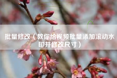 批量修改（教你给视频批量添加滚动水印并修改尺寸）