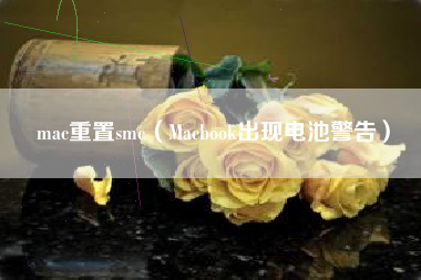 mac重置smc（Macbook出现电池警告）
