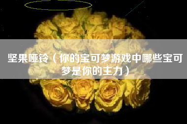 坚果哑铃（你的宝可梦游戏中哪些宝可梦是你的主力）