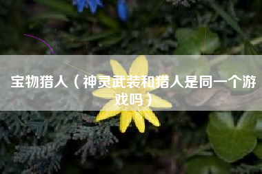 宝物猎人（神灵武装和猎人是同一个游戏吗）