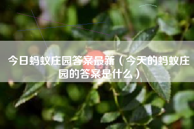 今日蚂蚁庄园答案最新（今天的蚂蚁庄园的答案是什么）
