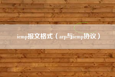 icmp报文格式（arp与icmp协议）