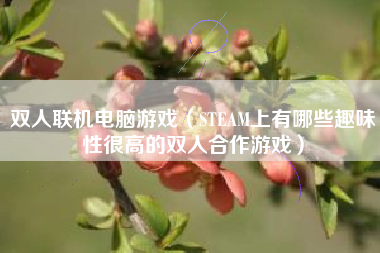 双人联机电脑游戏（STEAM上有哪些趣味性很高的双人合作游戏）