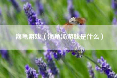 海龟游戏（海龟汤游戏是什么）