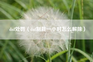 dnf处罚（dnf制裁一小时怎么解除）