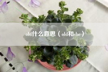 old什么意思（old和she）