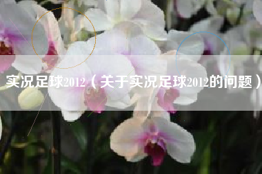 实况足球2012（关于实况足球2012的问题）