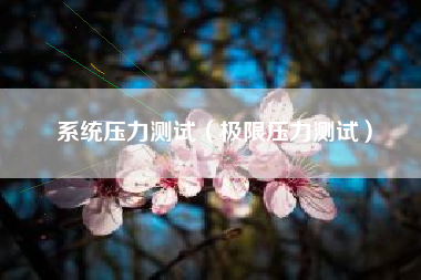 系统压力测试（极限压力测试）