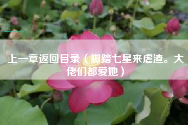 上一章返回目录（脚踏七星来虐渣。大佬们都爱她）