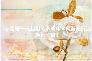 csgo租号一元起租（未成年人网游防沉迷施行一周）
