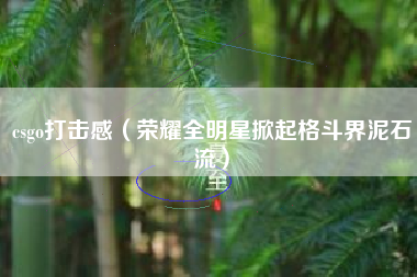 csgo打击感（荣耀全明星掀起格斗界泥石流）