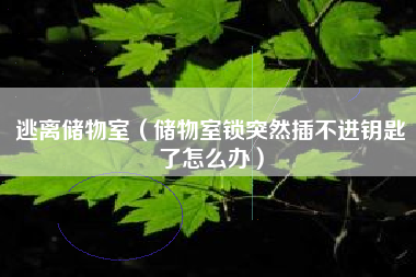 逃离储物室（储物室锁突然插不进钥匙了怎么办）