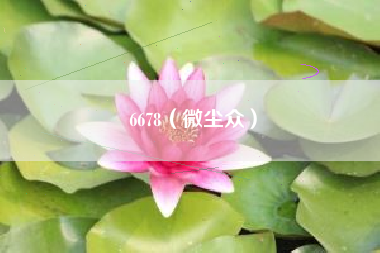 6678（微尘众）